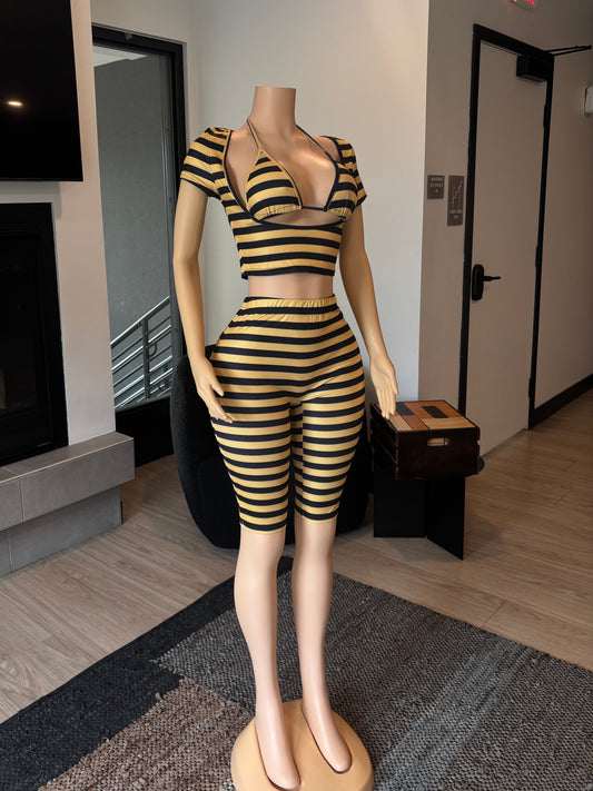 Bad Bee Set
