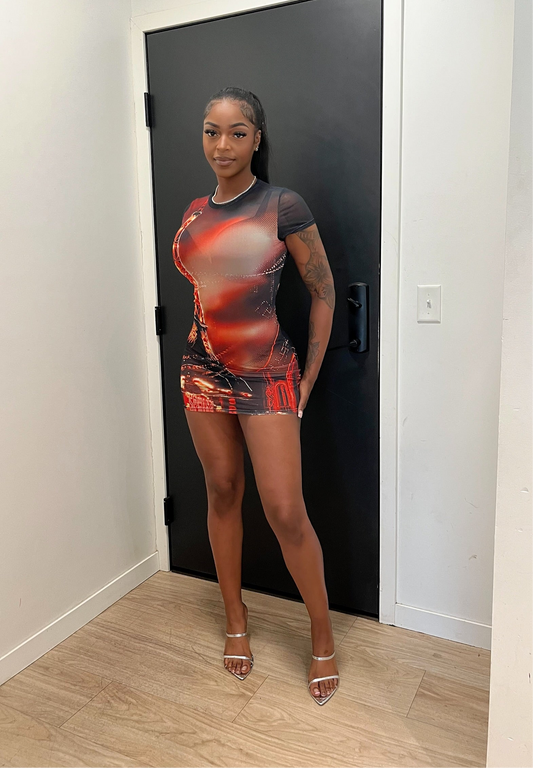 Paris Mesh Dress